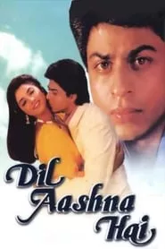 Dil Aashna Hai (1992)