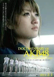 Documentary of AKB48 No Flower Without Rain (2013)