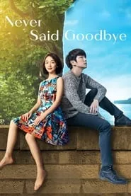 Never Said Goodbye (2016)