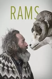 Rams (2015)