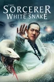 The Sorcerer and the White Snake (2011)