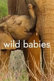 Wild Babies (2022) Season 1